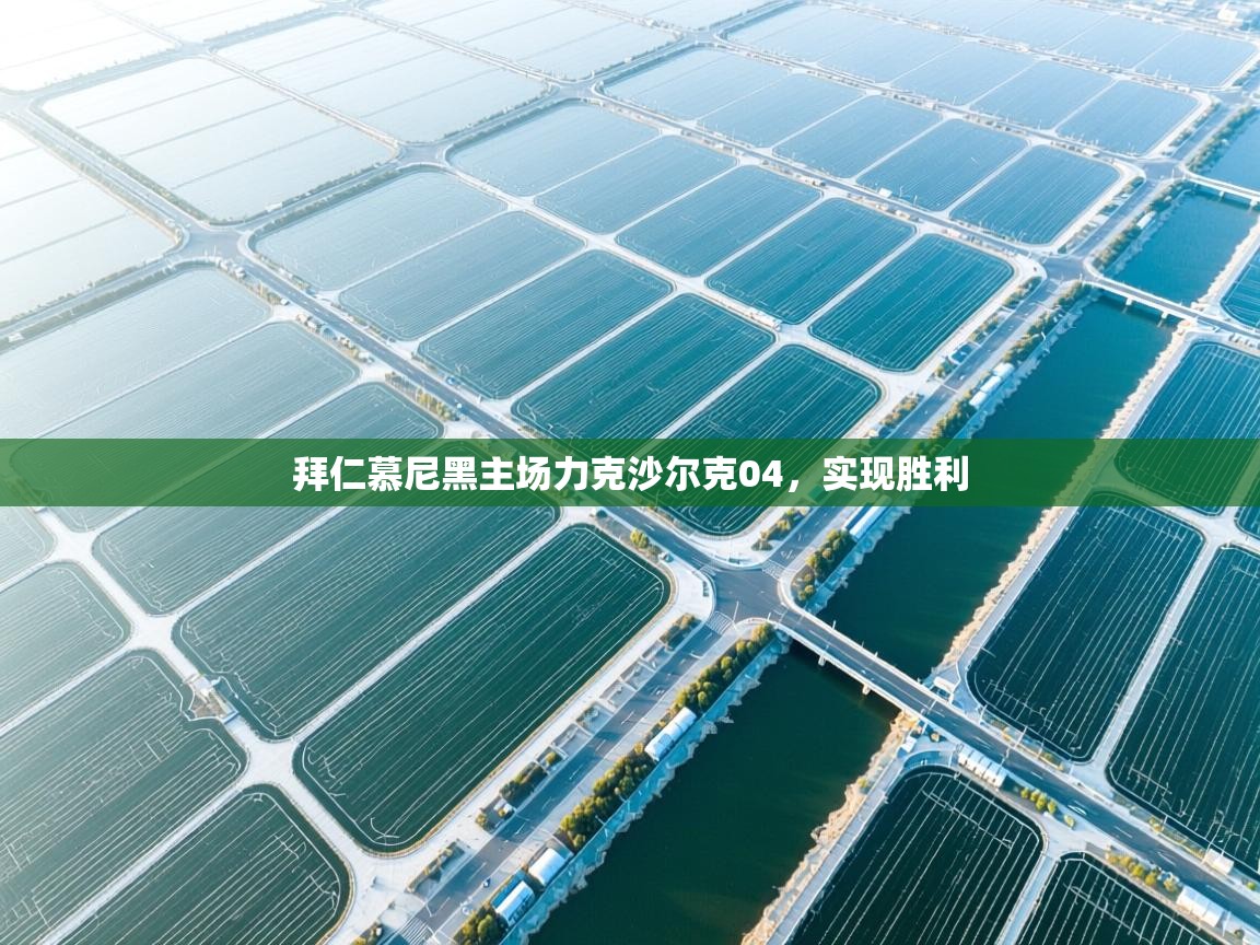 拜仁慕尼黑主场力克沙尔克04，实现胜利  第1张