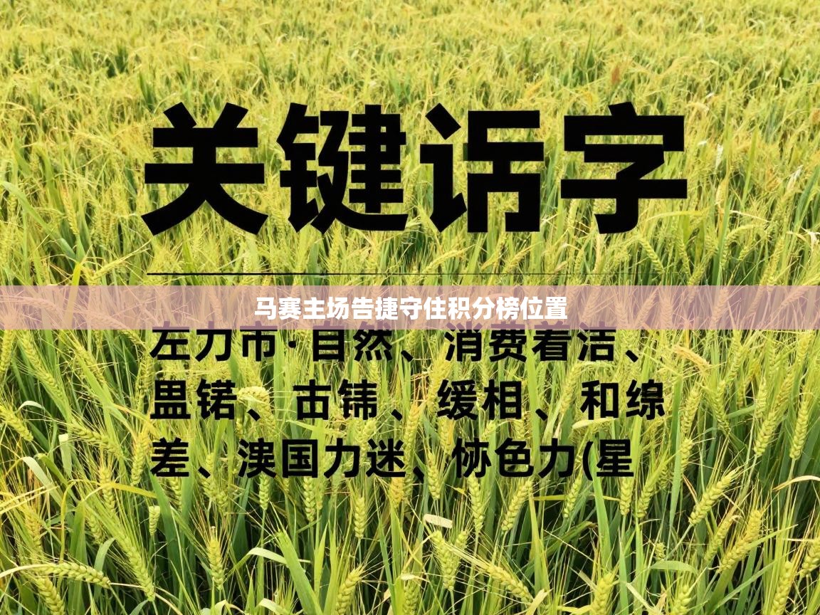 马赛主场告捷守住积分榜位置