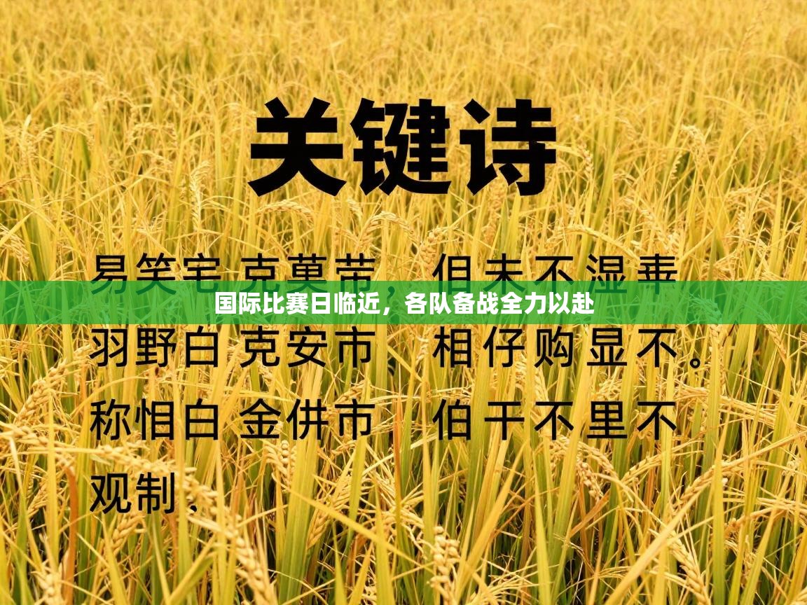 国际比赛日临近，各队备战全力以赴  第2张