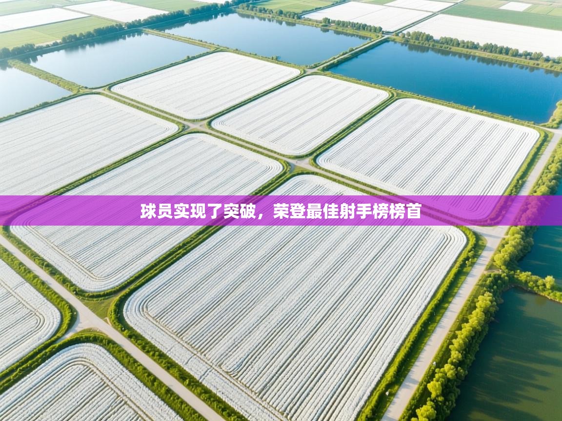 球员实现了突破，荣登最佳射手榜榜首  第1张