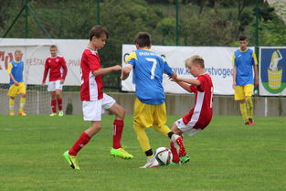 米乐m6平台-帕尔梅拉斯伤病恢复进展顺利，期待发挥