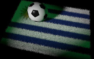 米乐体育官方网站入口-深圳佳兆业胜河北华夏幸福，泰达主场不敌国安，深圳佳兆业主力阵容